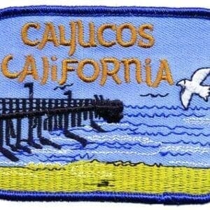 A patch of the beach with seagulls flying above it.