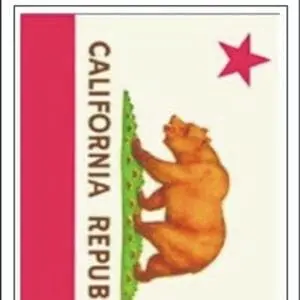 A picture of the california flag.