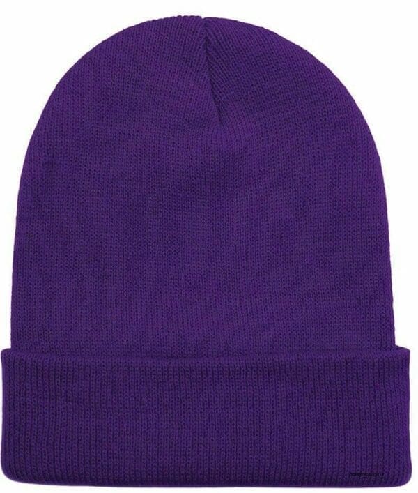 A purple beanie hat is shown from the front.