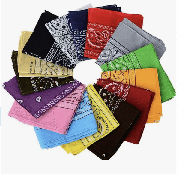 Paisley Bandanas