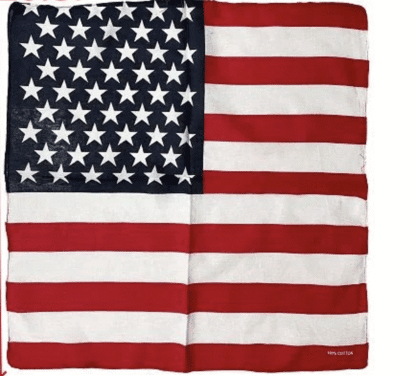 USA Bandana